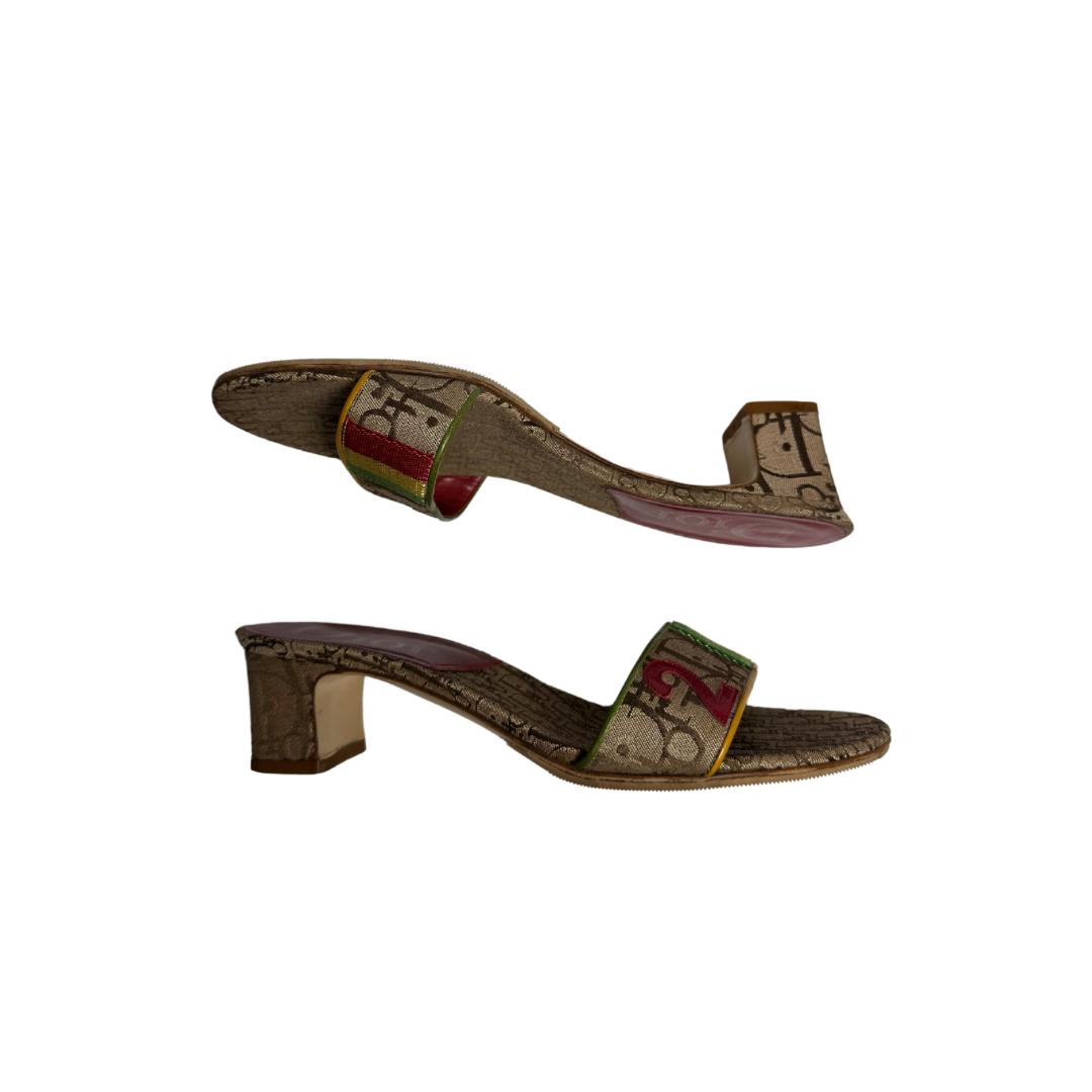 Christian Dior Rasta Monogram Mules